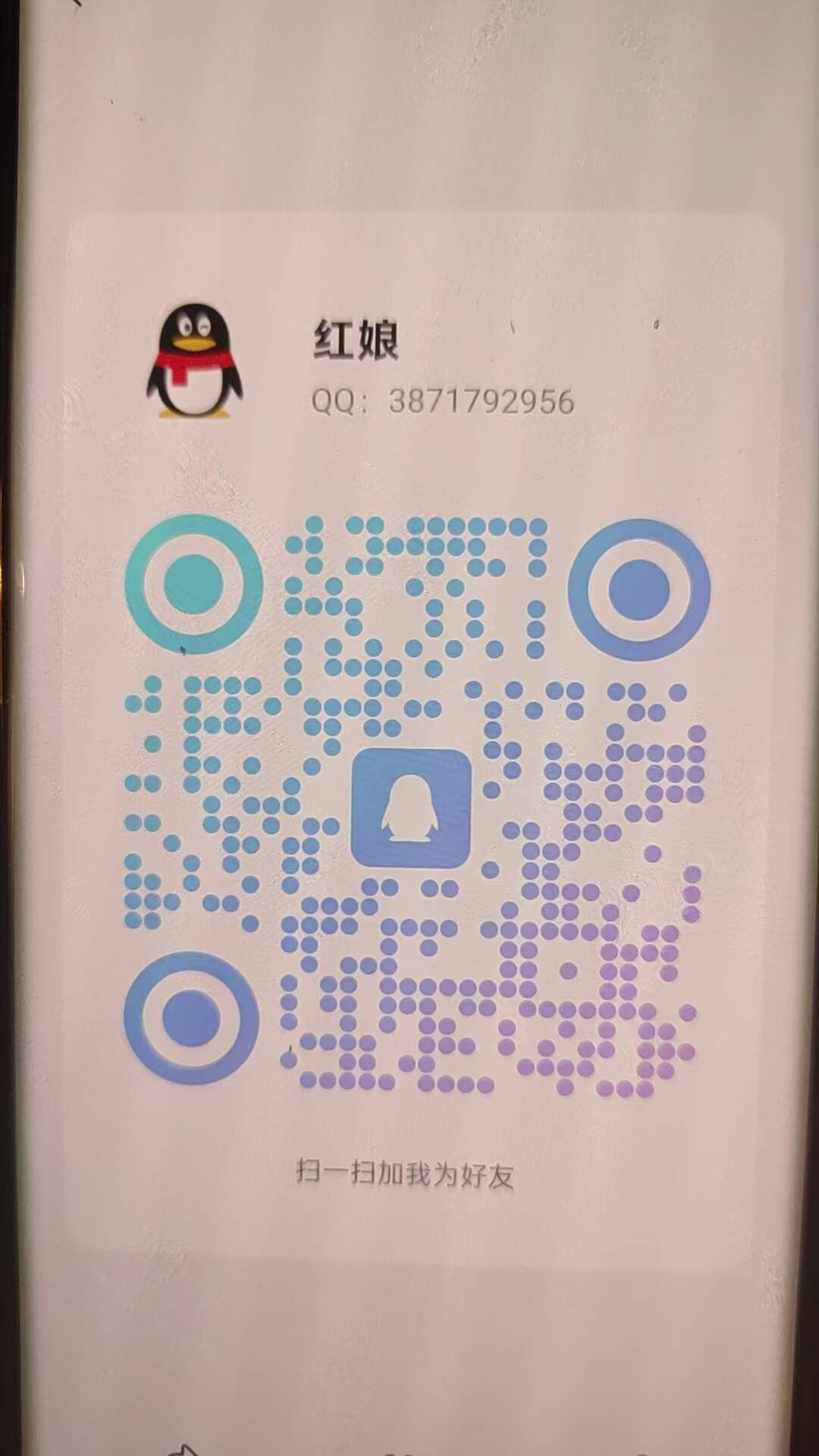 qq.jpg